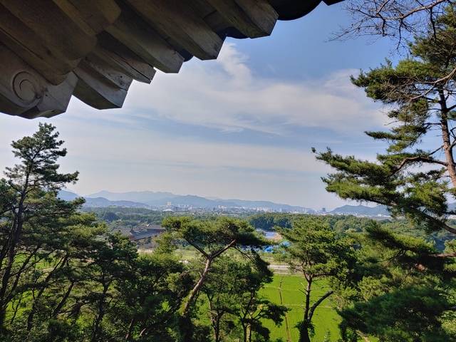 화백정에서 북쪽으로 바라본 월성 전경.