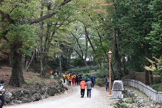 조계산 송광사·선암사 일원 진입로. 국가유산청 제공