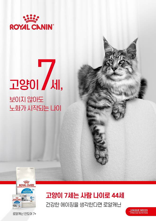 (서울=뉴스1) 한송아 기자 = 글로벌 펫푸드 브랜드 로얄캐닌코리아가 반려묘의 생애 주기 별 건강 관리의 중요성을 알리는 '7세 이상 반려묘 노화 관리 캠페인'을 펼친다(로얄캐닌코리아 제공). ⓒ 뉴스1