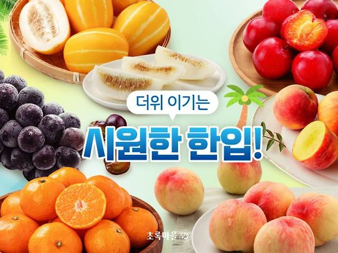ⓒ초록마을