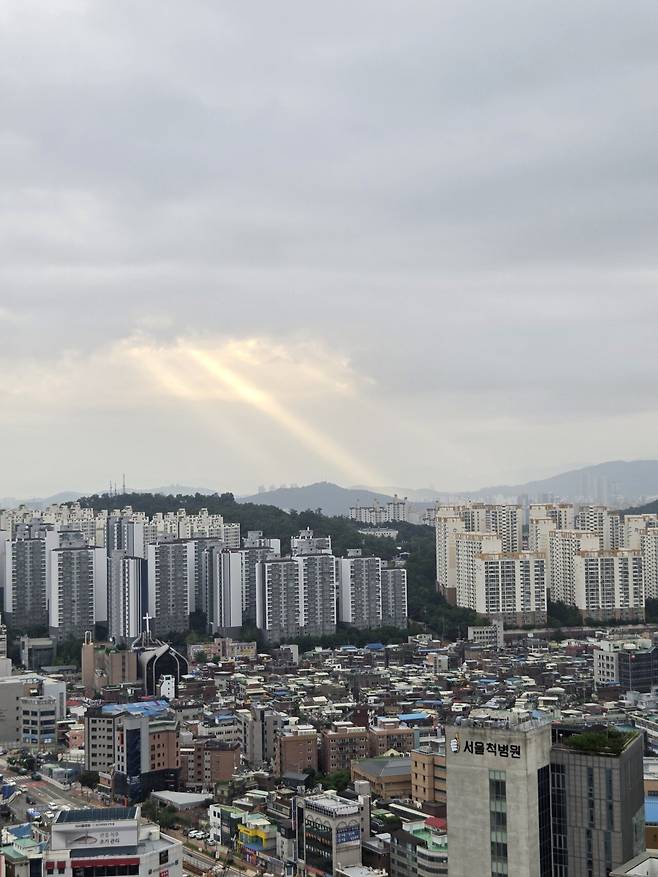 20250721_064510.jpg 나도 오전에 지리는거 찍음