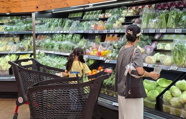 21일 세종시 내 한 대형마트에서 한 소비자가 양배추 상태를 확인하고 있다. 세종=장재진 기자