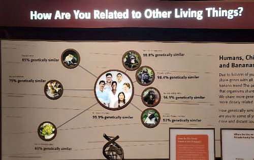 스미스소니언 자연사박물관 인류의 기원 전시실에 전시된 인간과 다른 동식물들과의 유전자 비교 패널. "우리는 다른 생물들과 어떻게 연관되어 있는가?"