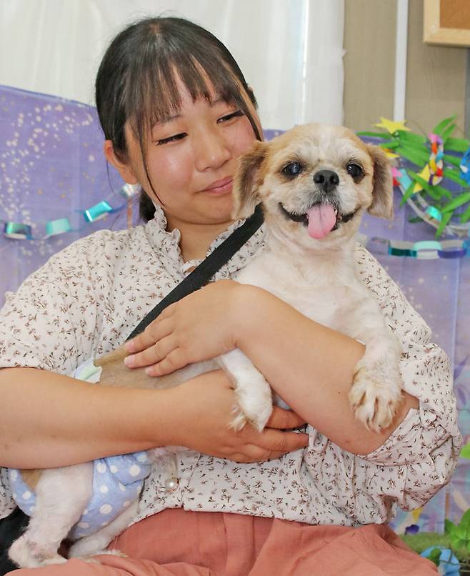 [뉴시스] 구출된 이후 털 손질을 마친 반려견의 모습. (사진=원러브 제공) 2025.7.20 *재판매 및 DB 금지