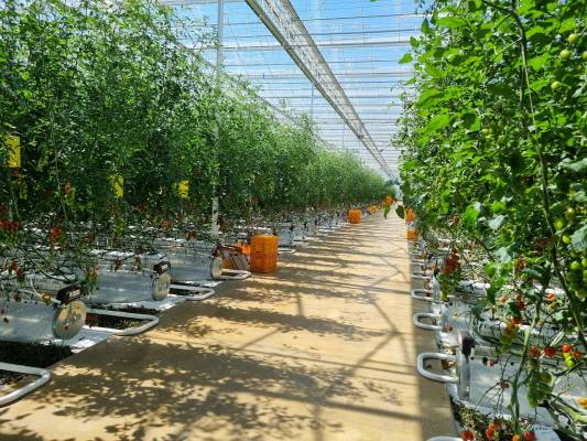 ▲ICT 기반 스마트팜 ⓒ정읍시