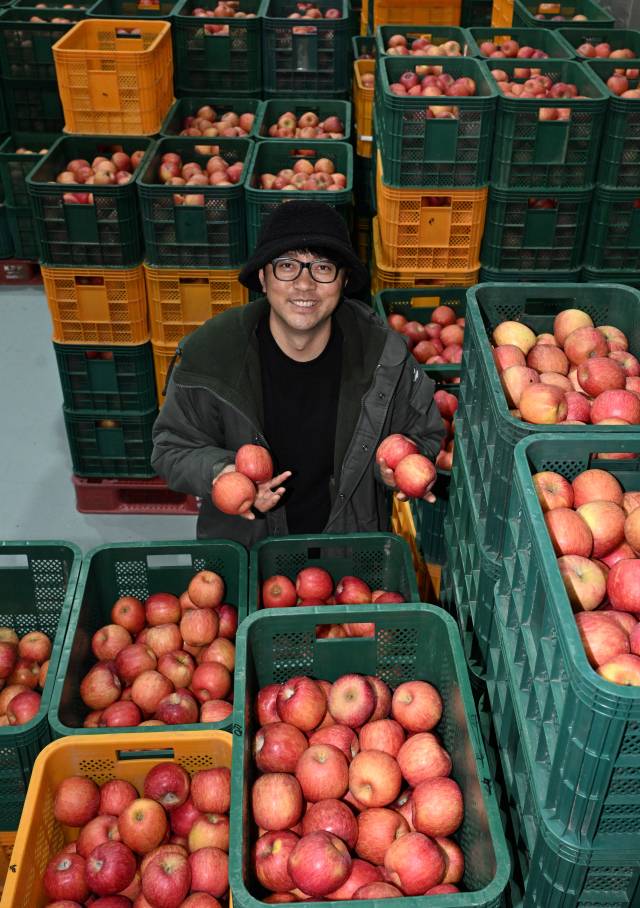 권광현 라엘농장 대표가 합천군 가야면의 사과 저온창고에서 수확한 사과를 들어보이고 있다./김승권 기자/