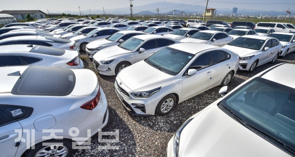 주차된 렌터카들. 제주일보 자료사진