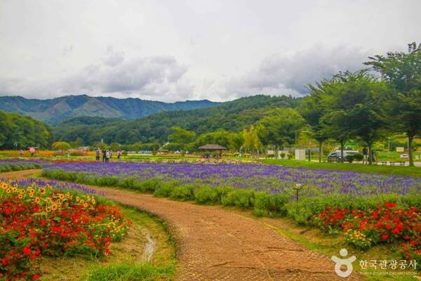 상림공원 (ⓒ한국관광공사 포토코리아-김지영)