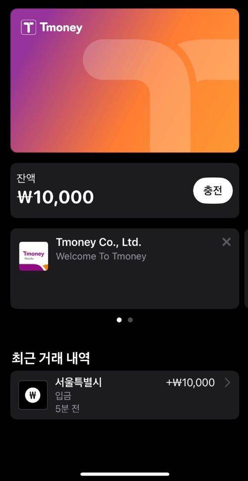 애플 지갑에 추가된 모바일 티머니 교통카드.