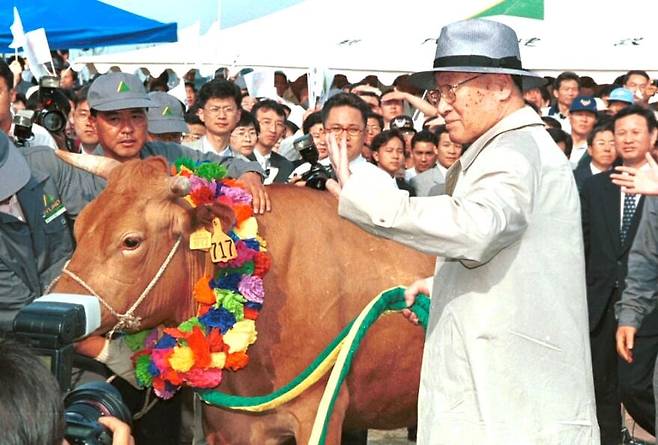 정주영 현대그룹 명예회장은 금강산 관광으로 남북 교류 관광의 문을 처음으로 열었다. 사진은 지난 1998년 6월 임진각에서 소떼를 몰고 방북할 때 모습./조선일보 DB
