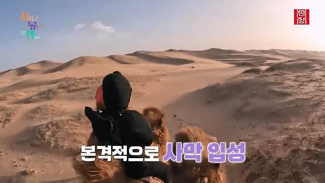 [지지고 볶는 여행]드디어 고비 사막에 도착! ....했는데 짜증 난 옥순! 이유는 낙타 위에서 옥순을 살살 긁는 영식 때문! 제발 그만...! ep19-1.mp4_20250722_122503.220.jpg 나는솔로 옥순이 낙타 타다 영식에게 짜증난 이유
