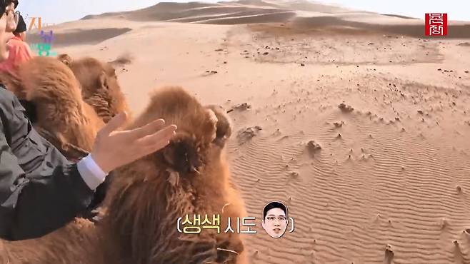 [지지고 볶는 여행]드디어 고비 사막에 도착! ....했는데 짜증 난 옥순! 이유는 낙타 위에서 옥순을 살살 긁는 영식 때문! 제발 그만...! ep19-1.mp4_20250722_122557.356.jpg 나는솔로 옥순이 낙타 타다 영식에게 짜증난 이유