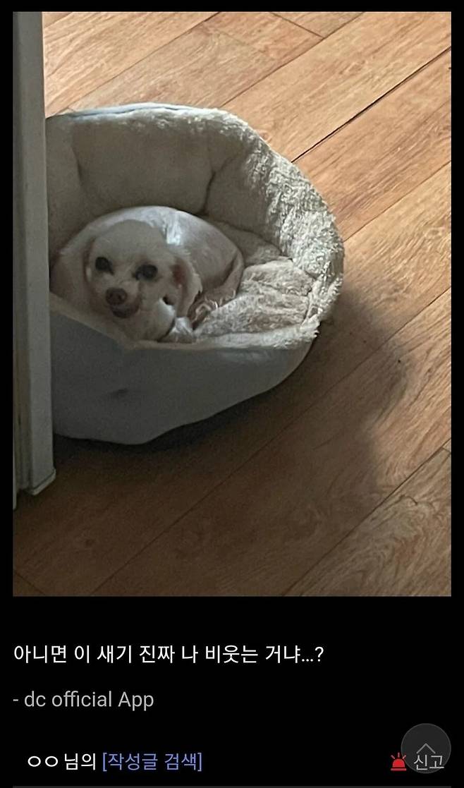 VrkIYi.webp.ren.jpg 본인이 조현병 의심된다는 디씨인