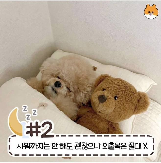 현재 반응갈리는 침대 허용 범위