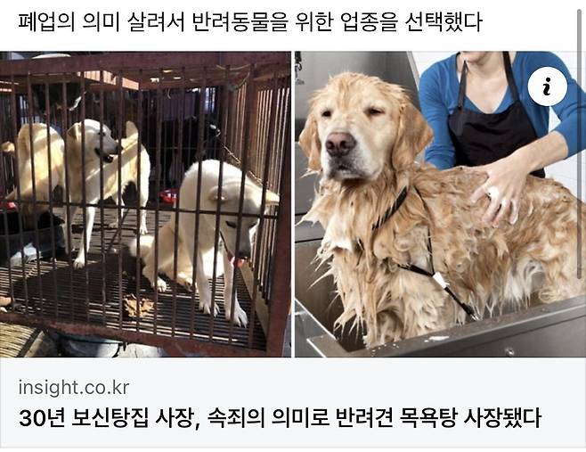 1.jpeg 30년 보신탕집 사장, 속죄의 의미로 반려견 목욕탕 사장됐다