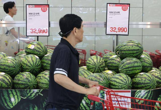 21일 서울 시내 한 대형마트에 한 소비자가 수박을 고르고 있다. 뉴시스