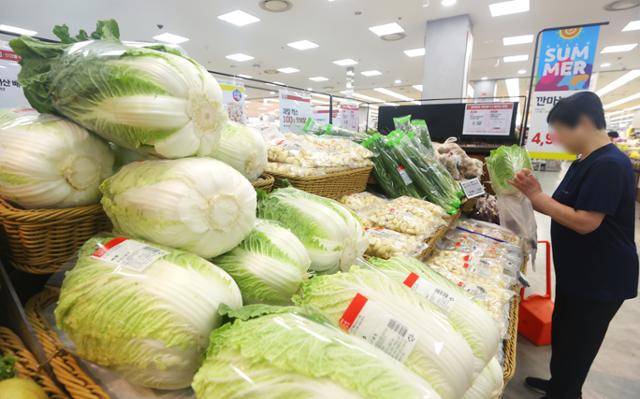21일 서울 시내 한 대형마트 채소 판매대에서 한 시민이 장을 보고 있다. 연합뉴스