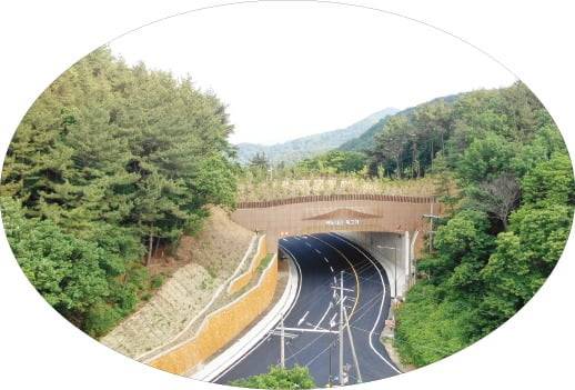 일제강점기 및 산업화를 맞아 단절됐던 충남 서산의 독고개  복원 후 모습. /산림청 제공