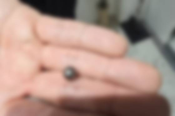 Ammunition used by a man in his 60s who allegedly shot his own son in Incheon on July 20 [INCHEON METROPOLITAN POLICE AGENCY]