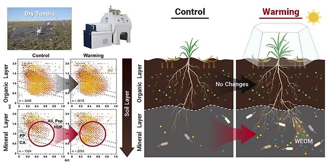 북극 툰드라 토양에서 온난화에 따른 깊이별 수용성 유기물(WEOM)의 반응 차이를 보여주는 모식도. KBSI