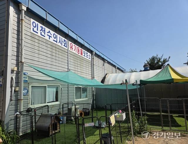 인천 계양구 다남동에 있는 인천시수의사회 유기동물 보호소 전경. 경기일보DB