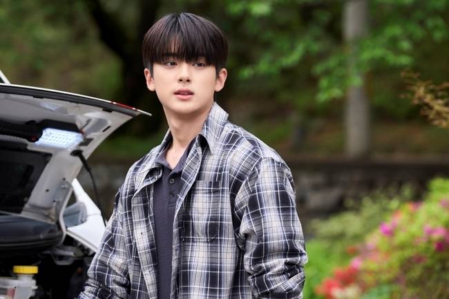 tvN 새 월화드라마 ‘첫, 사랑을 위하여’ 제공