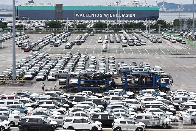 [평택=뉴시스] 김종택 기자 = 경기 평택항 자동차 전용부두에 수출용 차량이 세워져 있는 모습. 2025.07.01. jtk@newsis.com