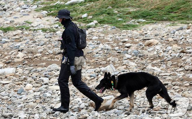 21일 경기도 가평군 조종면 대보교 수해현장에서 경찰이 실종자 수색작업을 하고 있다. 뉴스1