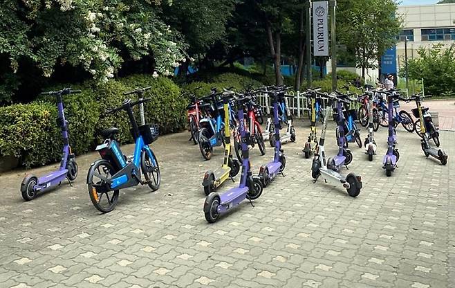 남양주시, 불법 주차·방치 전동 킥보드 단속 [남양주시 제공. 재판매 및 DB 금지]