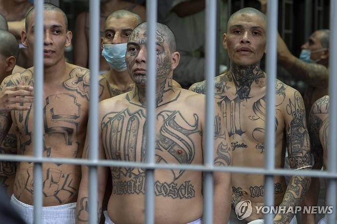 엘살바도르 교도소에 수감된 갱단 조직원들 [AP=연합뉴스 자료사진]