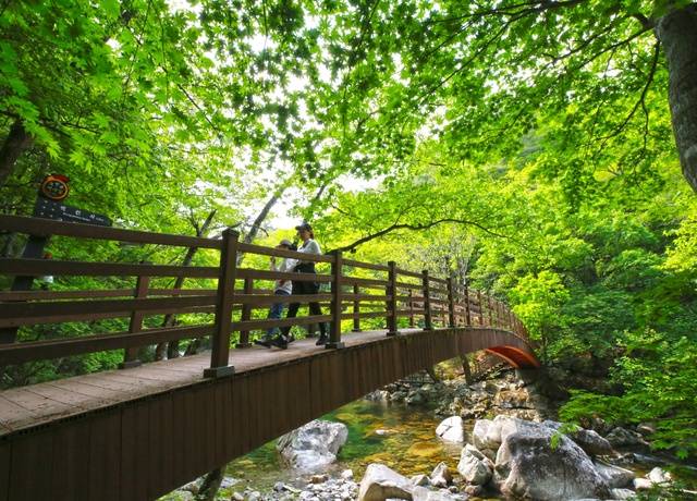 구천동 어사길/사진=무주군