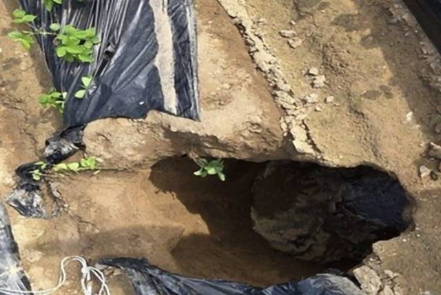 23일 안동시 풍산읍 한 밭에서 발생한 싱크홀의 모습. 독자 제공