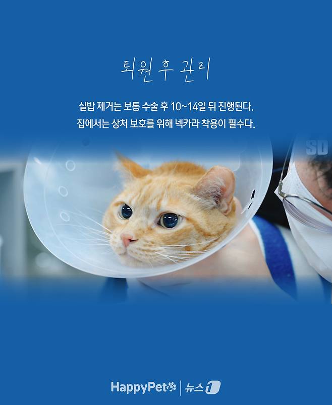 ⓒ News1 윤주희 디자이너