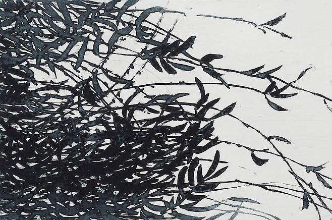 강승희, 새벽-22535(Day Break-22535), 30x45cm, Aquatint Etching, 2025 (노화랑 제공)