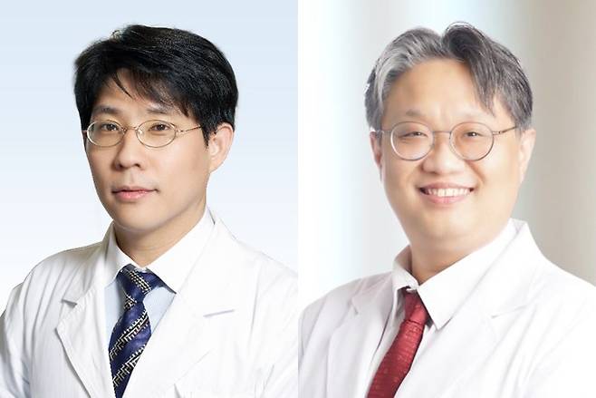 최병윤 교수(왼쪽)와 최준 교수