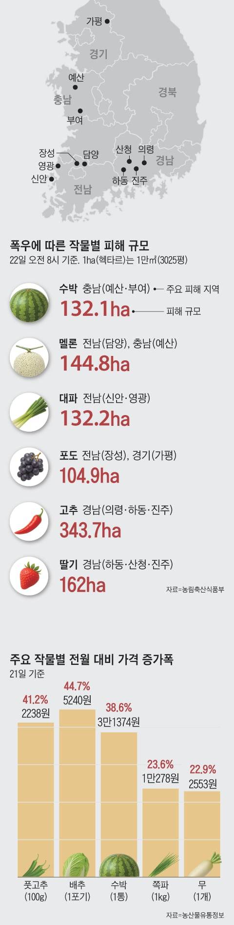그래픽=김성규