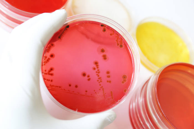 @게티이미지뱅크