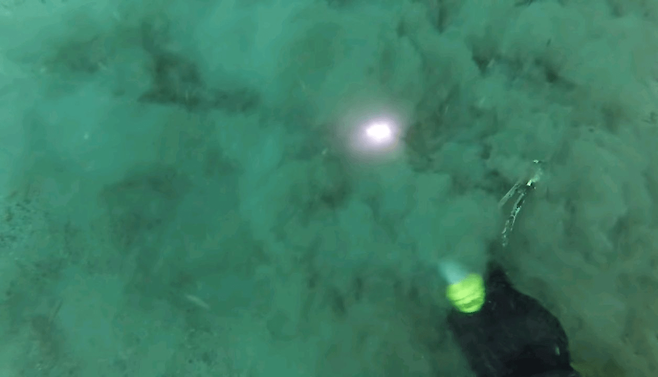 image.png 싱글벙글 방수팩의 중요성.jpg