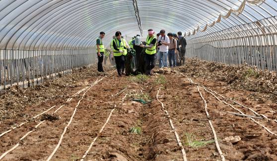 더불어민주당이 21일 오전 충남 예산군 신암면 조곡리 수해 현장을 찾아 봉사활동을 하고 있다. [연합뉴스]
