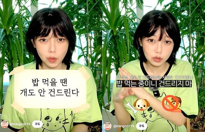 유튜버 '밍찌'가 "밥 먹을 때는 개도 안 건드린다"라는 속담의 해석에 대해 설명하는 모습. /사진=유튜브 '밍찌채널' 캡처