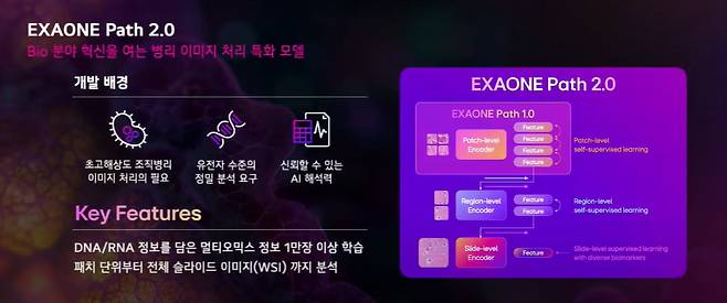 LG AI연구원의 정밀 의료 AI인 ‘엑사원 패스 2.0’은 유전자 검사 없이도 이미지 만으로 돌연변이 여부를 정확히 진단해냈다./LG