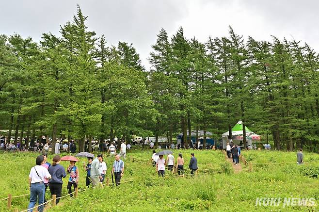 지난해 정선함백산야생화축제 모습. 정선군