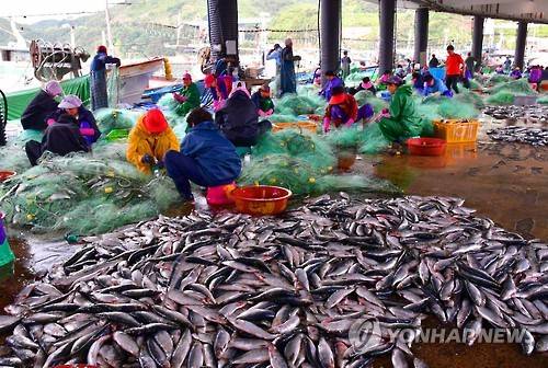 [연합뉴스 자료사진]
