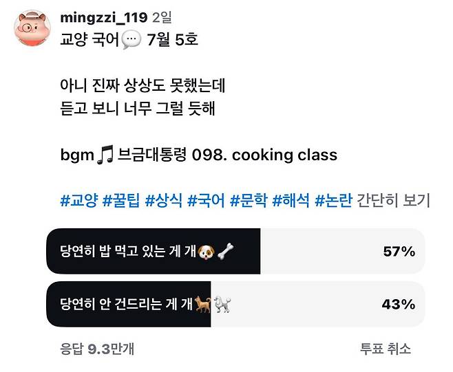 [인스타그램 캡처]