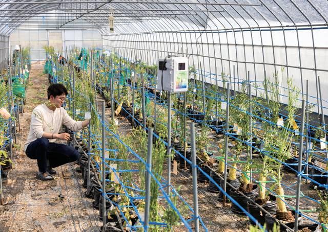 박 대표는 4000여 종의 유전자원을 활용해 신품종을 개발하고 있다.