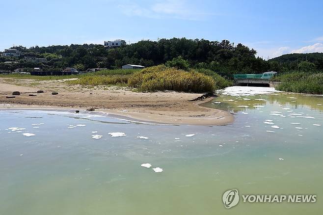 바다로 흘러가는 거품 (포항=연합뉴스) 손대성 기자 = 23일 경북 포항시 북구 흥해읍 죽천리 하천에서 하얀색 거품과 침전물이 하류로 떠내려와 바다로 흘러들고 있다.
    포항시는 산성을 띤 이암이 많은 포항 지질 특성 때문에 발생한 일로 오염과 무관하다고 밝혔다. 2025.7.23 sds123@yna.co.kr