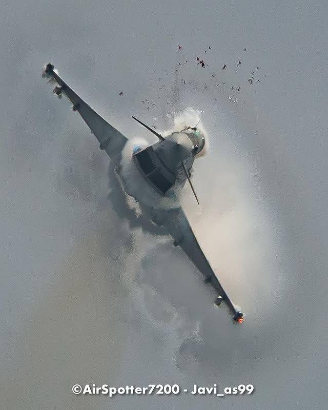 갈매기와 충돌한 전투기 [Air_spotter7200 인스타그램 캡처. 재판매 및 DB 금지]