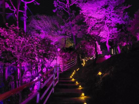 노산빛공원