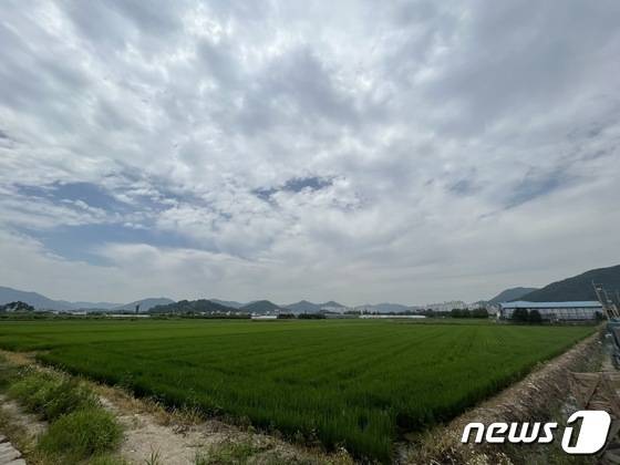 김해시 풍유동 풍유일반물류단지 부지 전경. ⓒ 뉴스1 DB