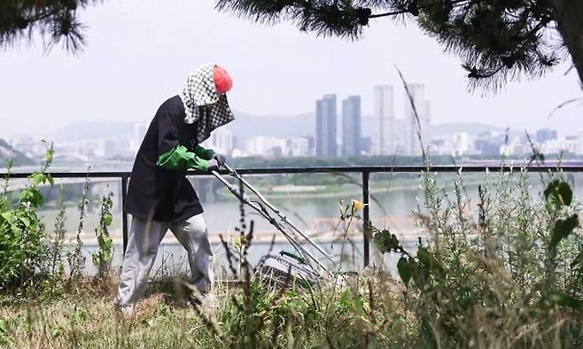 나 혼자 산다, 첫 예초 (사진: MBC '나혼산')